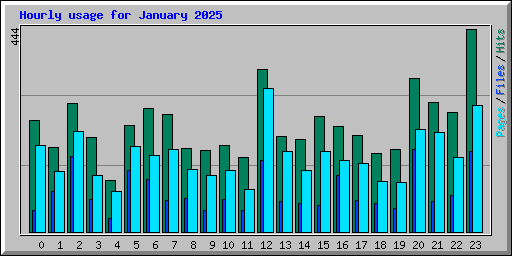 Hourly usage for January 2025