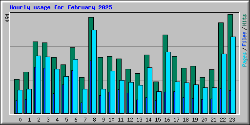 Hourly usage for February 2025