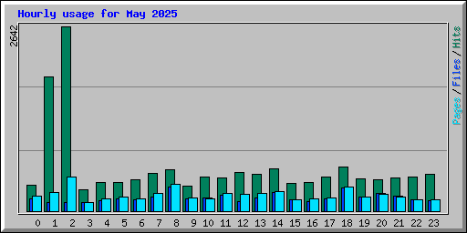 Hourly usage for May 2025