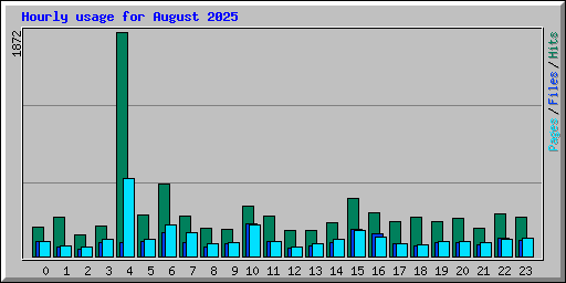 Hourly usage for August 2025
