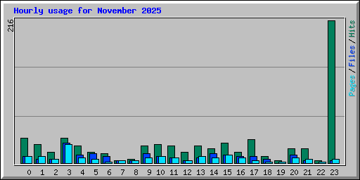 Hourly usage for November 2025