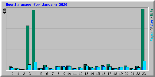 Hourly usage for January 2026