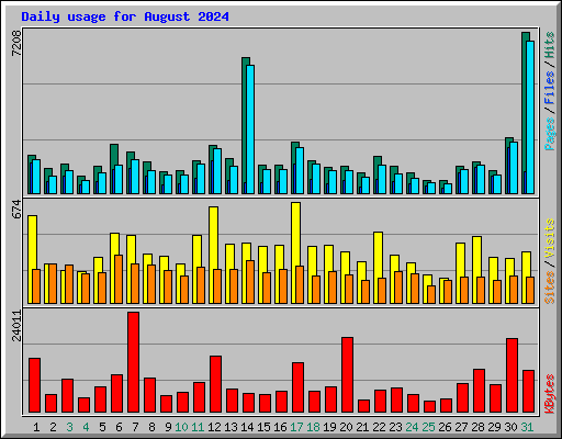 Daily usage for August 2024