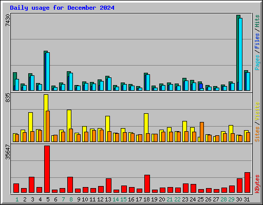 Daily usage for December 2024