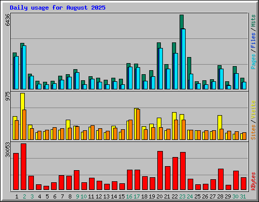 Daily usage for August 2025