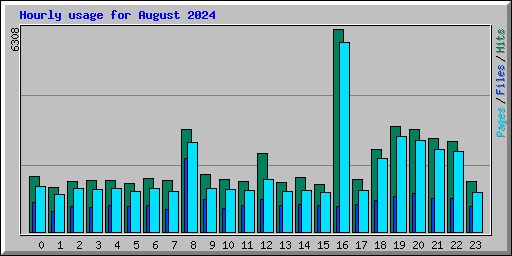 Hourly usage for August 2024