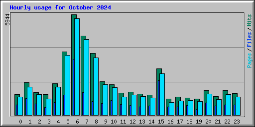 Hourly usage for October 2024