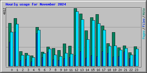 Hourly usage for November 2024