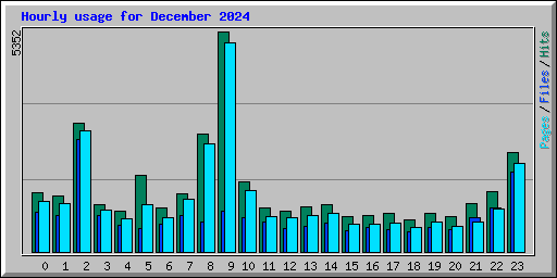 Hourly usage for December 2024