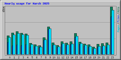 Hourly usage for March 2025
