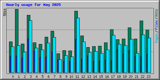 Hourly usage for May 2025