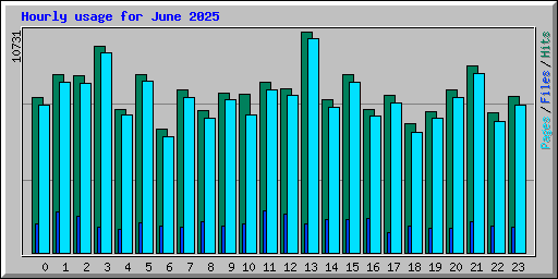 Hourly usage for June 2025