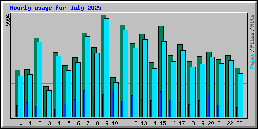 Hourly usage for July 2025
