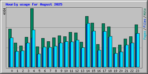 Hourly usage for August 2025