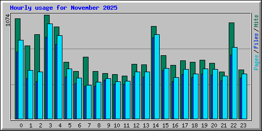 Hourly usage for November 2025