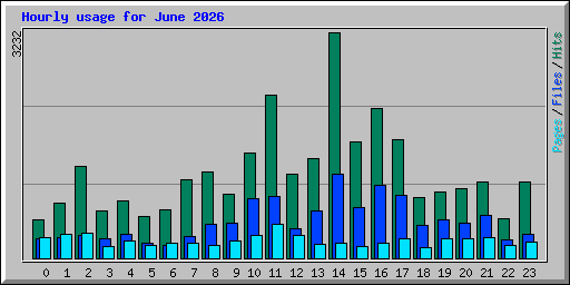 Hourly usage for June 2026