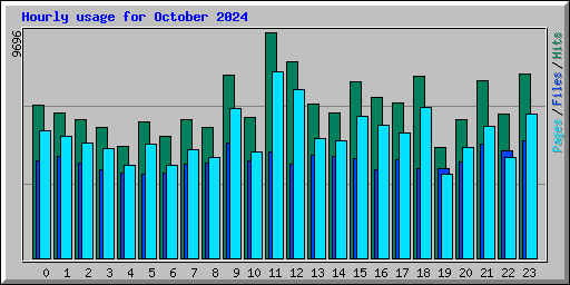 Hourly usage for October 2024