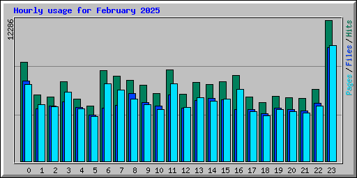 Hourly usage for February 2025