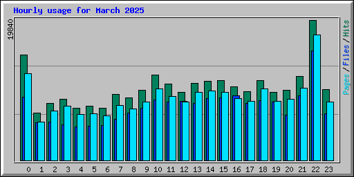 Hourly usage for March 2025