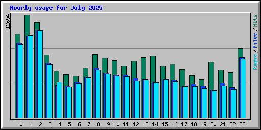 Hourly usage for July 2025