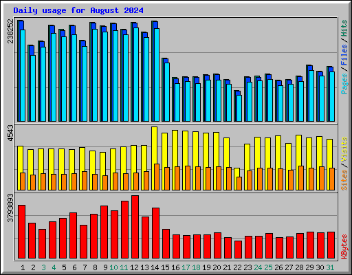 Daily usage for August 2024