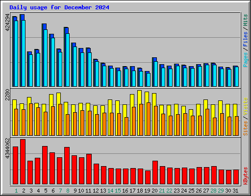 Daily usage for December 2024