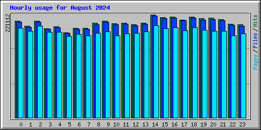 Hourly usage for August 2024