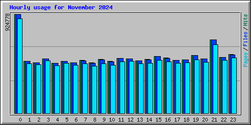 Hourly usage for November 2024