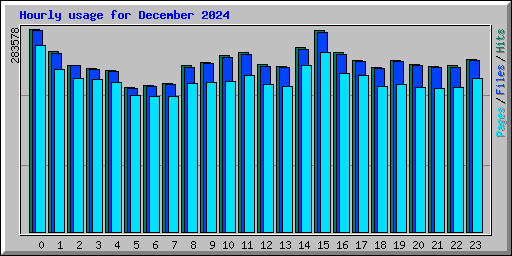 Hourly usage for December 2024