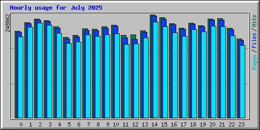Hourly usage for July 2025
