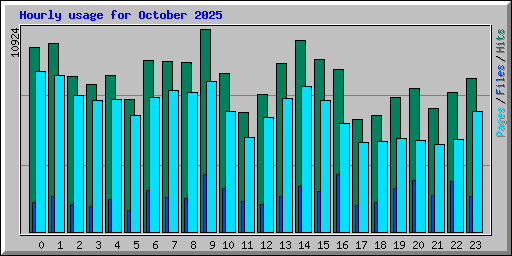 Hourly usage for October 2025