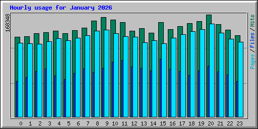 Hourly usage for January 2026