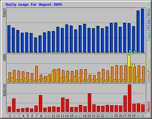 Daily usage for August 2025