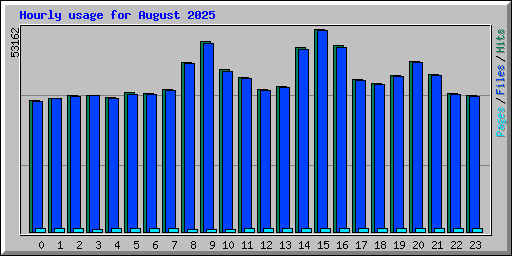 Hourly usage for August 2025