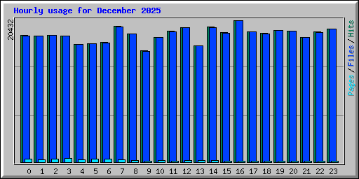 Hourly usage for December 2025