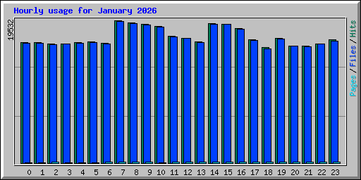 Hourly usage for January 2026