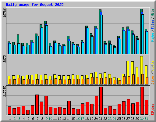 Daily usage for August 2025