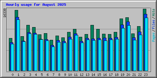 Hourly usage for August 2025