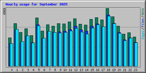 Hourly usage for September 2025