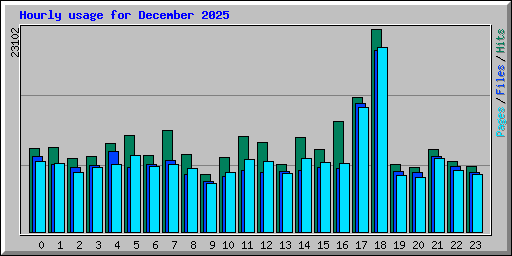 Hourly usage for December 2025