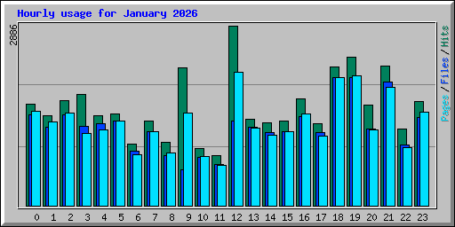 Hourly usage for January 2026