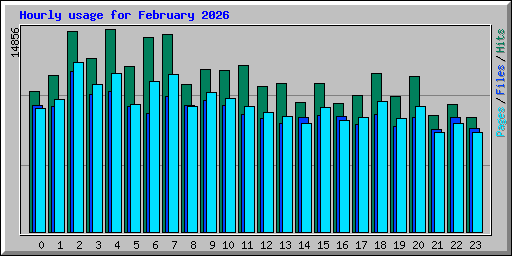 Hourly usage for February 2026