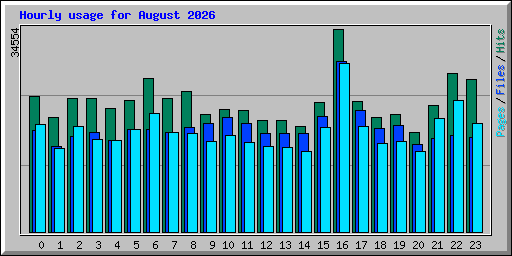 Hourly usage for August 2026