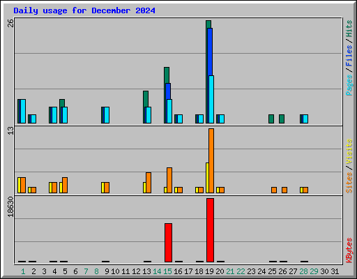 Daily usage for December 2024
