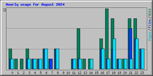 Hourly usage for August 2024