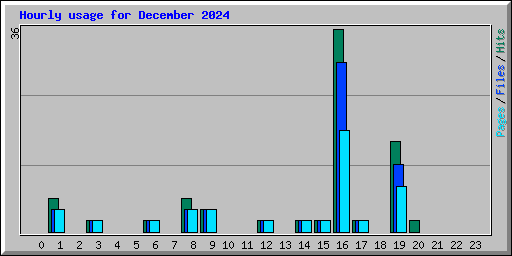 Hourly usage for December 2024