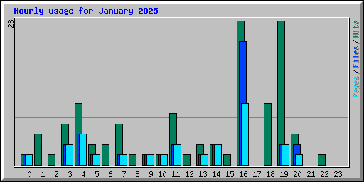 Hourly usage for January 2025