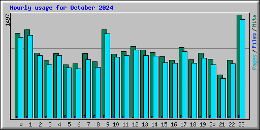 Hourly usage for October 2024
