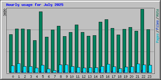 Hourly usage for July 2025