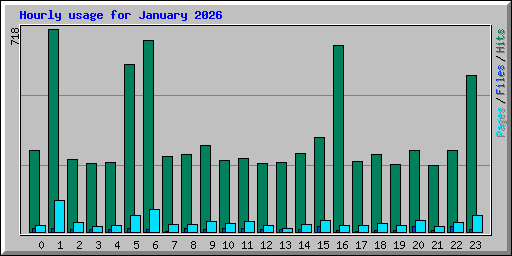 Hourly usage for January 2026